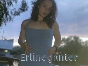 Erlineganter