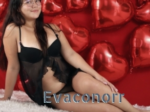 Evaconorr