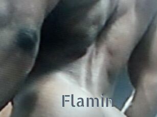 Flamin