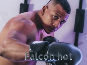 Falcon_hot