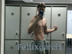 Fellixgarcia