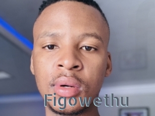 Figowethu