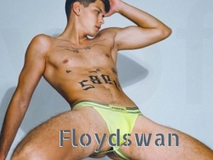 Floydswan