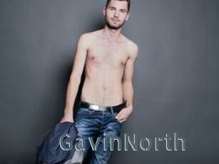 GavinNorth