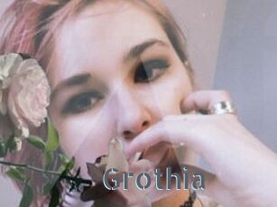 Grothia