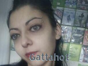 Gattahot