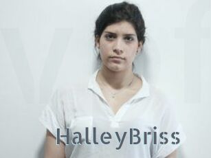 HalleyBriss