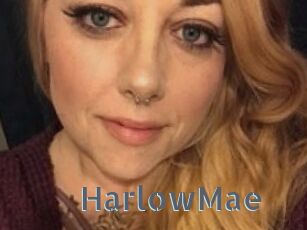 Harlow_Mae