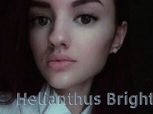 Helianthus_Bright