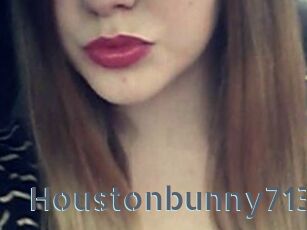 Houstonbunny713