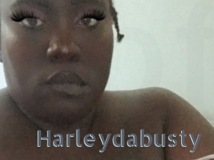 Harleydabusty