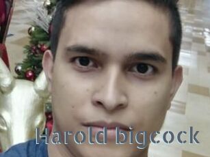 Harold_bigcock