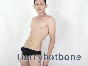 Harryhotbone