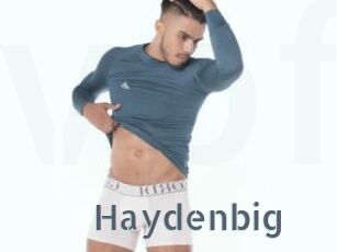 Haydenbig