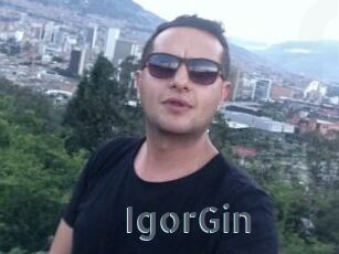 IgorGin