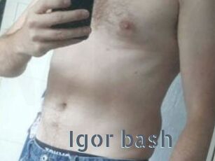 Igor_bash