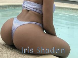 Iris_Shaden