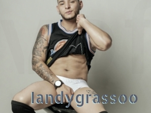 Iandygrassoo