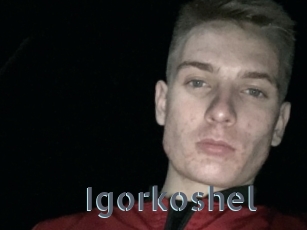 Igorkoshel