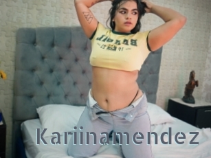 Kariinamendez