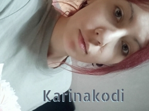 Karinakodi