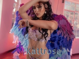 Kattrose