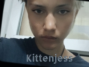 Kittenjess