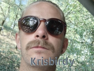 Krisbirdy