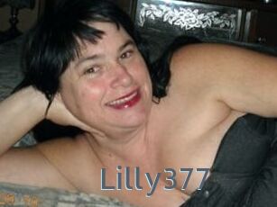 Lilly377