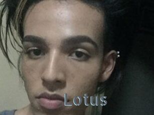 Lotus