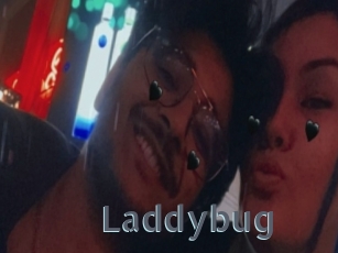 Laddybug