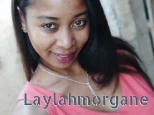 Laylahmorgane