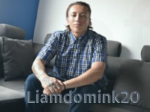 Liamdomink20