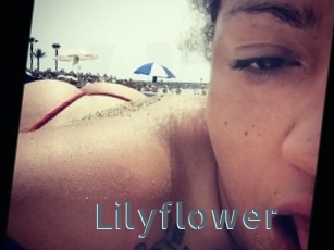 Lilyflower