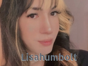 Lisahumbolt