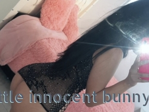 Little_innocent_bunny