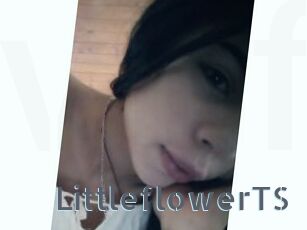 LittleflowerTS