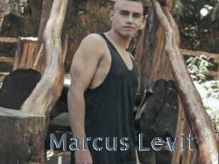 Marcus_Levit