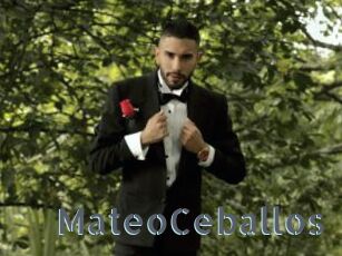 MateoCeballos