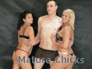 Mature_Chicks