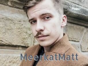 MeerkatMatt