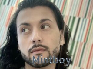 Mintboy