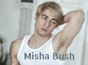 Misha_Bush