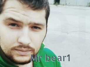 Mr_bear1