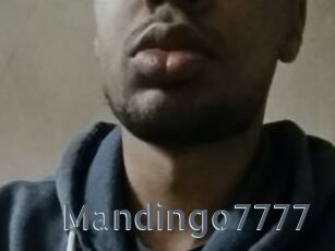 Mandingo7777