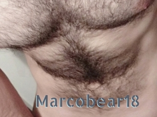 Marcobear18