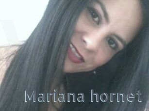 Mariana_hornet