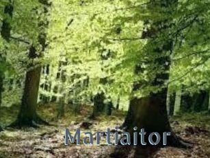 Martiaitor