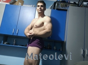 Mateolevi