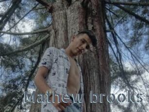 Mathew_brooks